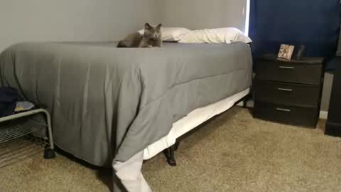 Snapshot of dwhitey4u chatting on 31, 12, 2024 dwhitey4u online show from 31, 12, 2024