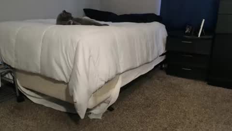 Snapshot of dwhitey4u chatting on 2, 11, 2025 dwhitey4u online show from 2, 11, 2025