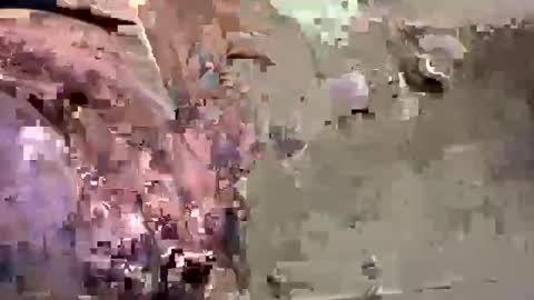 Easye online show from 26, 1, 2025