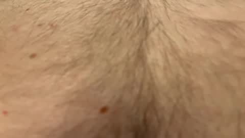 Snapshot of easyfrenchguy chatting on 1, 4, 2026 French Guy online show from 1, 4, 2026