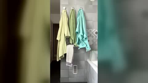 Snapshot of easyfrenchguy chatting on 15, 4, 2026 French Guy online show from 15, 4, 2026