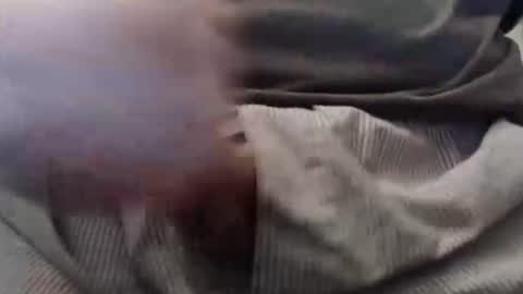 eat_a_peach2 online show from 11, 2, 2025