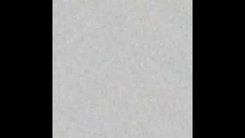 judy online show from 12, 1, 2026