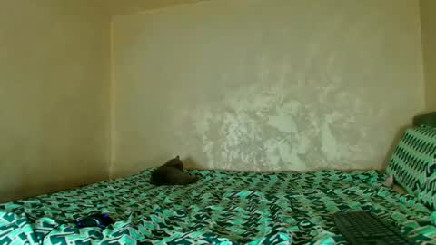 Snapshot of edavanessa7 chatting on 14, 11, 2025 Nomyx OF check online show from 14, 11, 2025