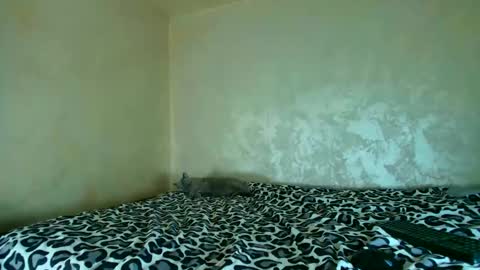 Snapshot of edavanessa7 chatting on 20, 11, 2025 Nomyx OF check online show from 20, 11, 2025