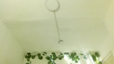 eiviiy1609 online show from 8, 10, 2025