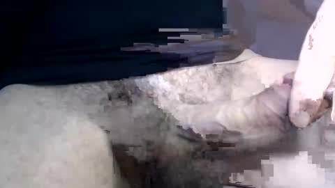 Snapshot of el_gato_lusty chatting on 30, 1, 2025 el gato lusty online show from 30, 1, 2025