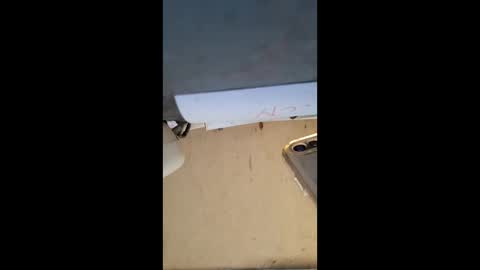 elaine33mae online show from 3, 3, 2026