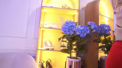 Elasummeer online show from 4, 11, 2025