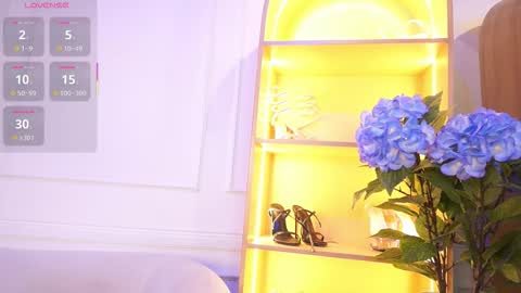 Elasummeer online show from 15, 11, 2025