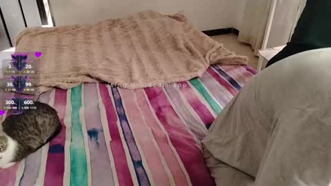 Snapshot of elektra_and_konan_01 chatting on 28, 11, 2025 Elektra and Konan online show from 28, 11, 2025