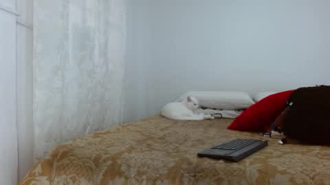 elektra online show from 30, 10, 2025