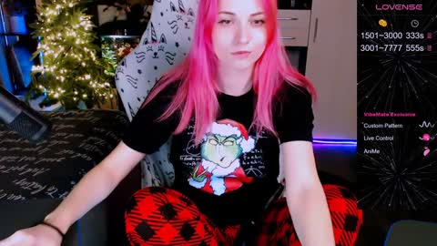 Snapshot of elfos_dream chatting on 26, 12, 2024 Mary online show from 26, 12, 2024