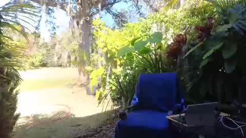 Snapshot of eliberator chatting on 9, 2, 2025 eliberator online show from 9, 2, 2025