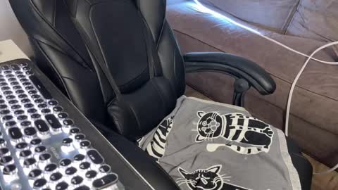 Snapshot of elisa_north chatting on 9, 3, 2025 Elisa North online show from 9, 3, 2025