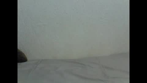 eljoven199 online show from 19, 4, 2026