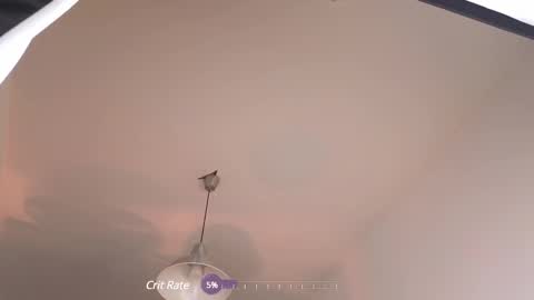 Snapshot of elliefrost chatting on 12, 2, 2025 elliefrost online show from 12, 2, 2025