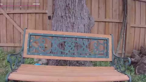 Snapshot of ells_palace chatting on 13, 9, 2025 Ella Bella Bo Bella online show from 13, 9, 2025