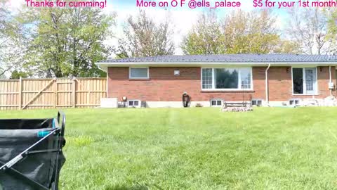 Snapshot of ells_palace chatting on 12, 5, 2026 Ella Bella Bo Bella online show from 12, 5, 2026