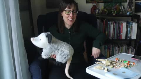 Snapshot of ellynaomi chatting on 31, 1, 2025 Elly Naomi online show from 31, 1, 2025