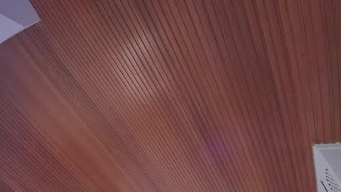 Elodie  online show from 14, 2, 2026