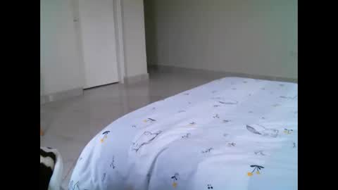 Elphaba online show from 21, 2, 2026