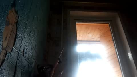 Snapshot of elsiehasselkus chatting on 25, 4, 2026 Alisa online show from 25, 4, 2026