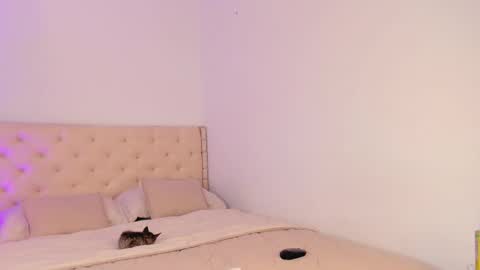 Snapshot of elza_fuentes01 chatting on 20, 3, 2026 Michelle online show from 20, 3, 2026