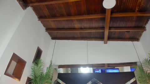 Emily  online show from 13, 2, 2026