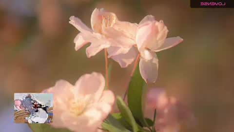 Snapshot of emily_hott1 chatting on 20, 11, 2025 emily hoot1 online show from 20, 11, 2025