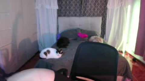 Snapshot of emily_swan_04 chatting on 26, 4, 2026 Emily Swan online show from 26, 4, 2026