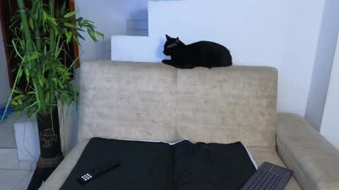 Snapshot of emma_blue_ chatting on 26, 3, 2026 Emma Blue modelo independiente online show from 26, 3, 2026