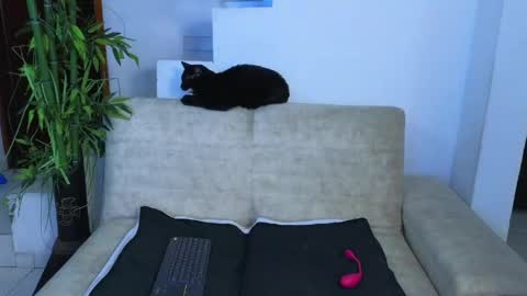 Snapshot of emma_blue_ chatting on 23, 4, 2026 Emma Blue modelo independiente online show from 23, 4, 2026