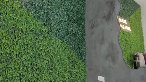 Emmiily online show from 31, 1, 2025