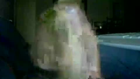 encormoi online show from 14, 11, 2025