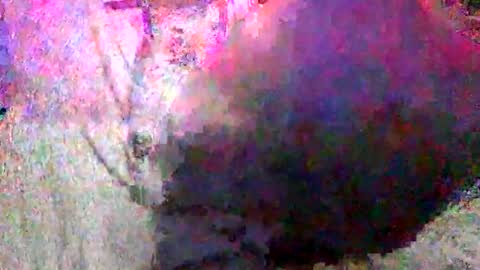 Batman online show from 18, 1, 2025