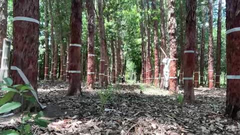 Luke online show from 26, 11, 2025