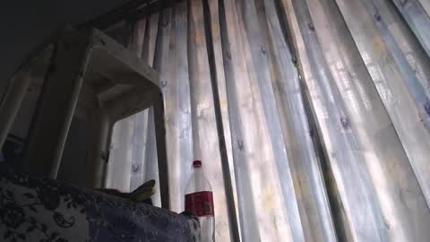 Eolicasextwo online show from 18, 2, 2025