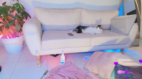 TINY  online show from 29, 6, 2026