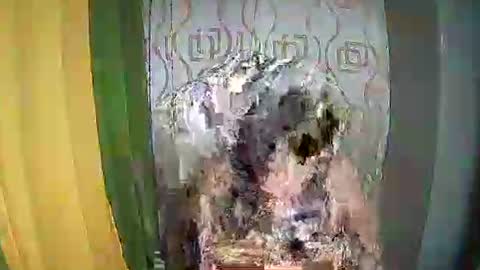 Ervana online show from 11, 2, 2026