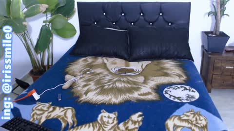 Snapshot of eva_brooks1 chatting on 20, 12, 2024 Iris Smile independent model online show from 20, 12, 2024