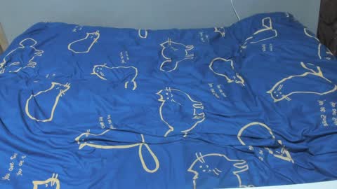 Eva online show from 7, 2, 2025