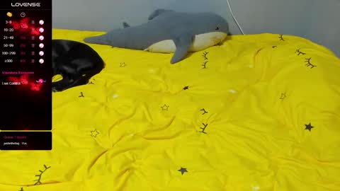 Eva online show from 14, 2, 2025