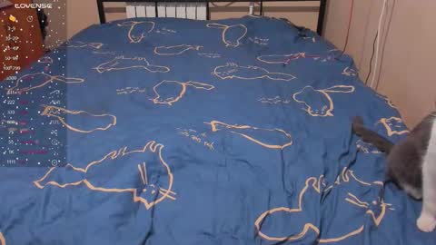 Snapshot of eva_zero chatting on 13, 1, 2026 Eva online show from 13, 1, 2026