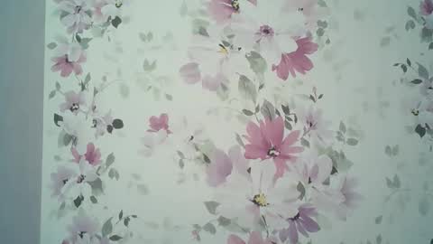 Evelina online show from 6, 4, 2026