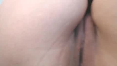 Snapshot of evelyn_sheeran chatting on 15, 4, 2026 Julieta online show from 15, 4, 2026