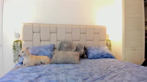 even_scoty online show from 25, 10, 2025