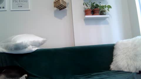 Badblondebunny online show from 22, 9, 2025