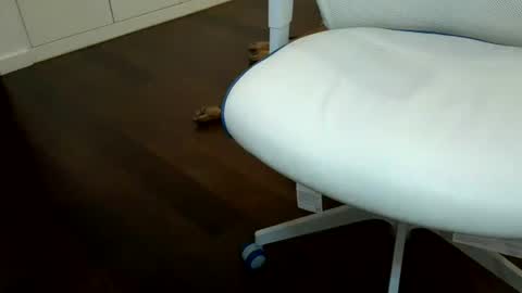 Snapshot of exhibapoil chatting on 21, 7, 2026 exhibapoil online show from 21, 7, 2026