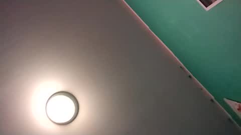 Snapshot of experttreecompany chatting on 16, 2, 2026 experttreecompany online show from 16, 2, 2026